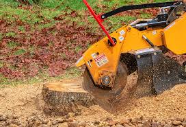 Best Firewood Processing and Delivery  in Pittsboro, NC