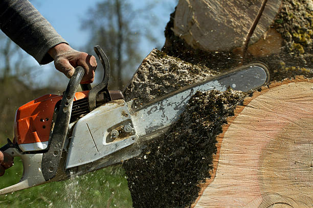 Best Aeration Services  in Pittsboro, NC